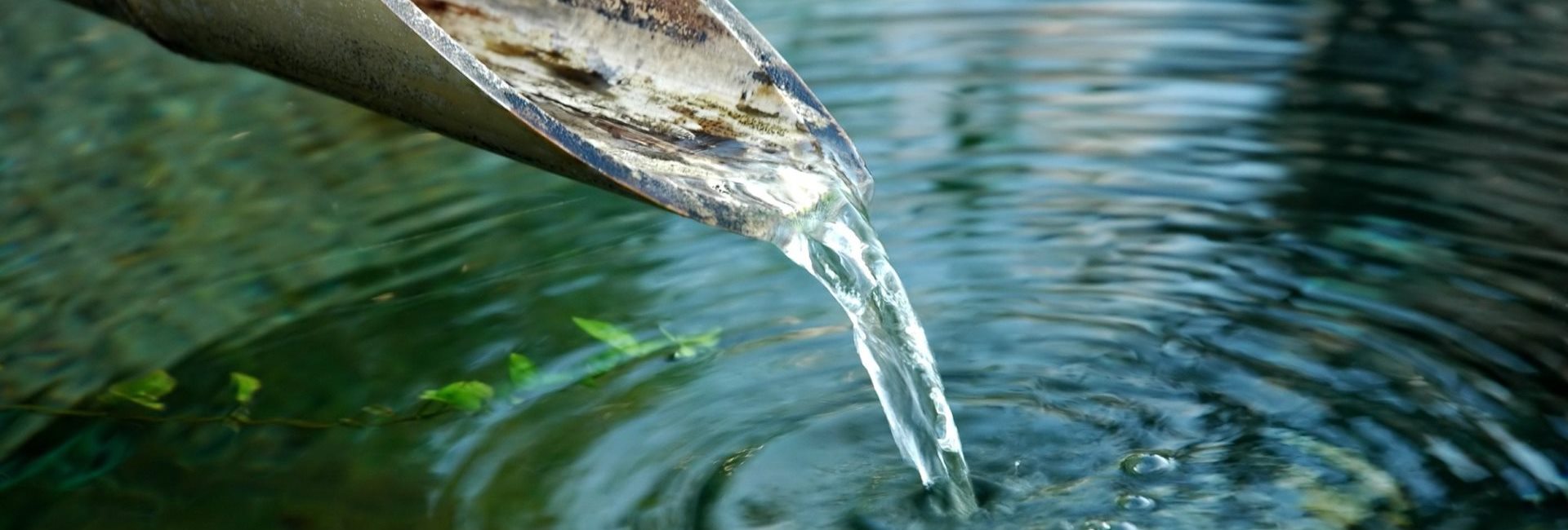 holistische-natuurlijke-menopauze-belgie